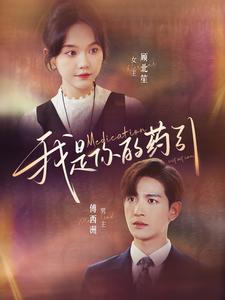 我是你的药引(100集) 我是你的药引(100集)精彩短剧热播