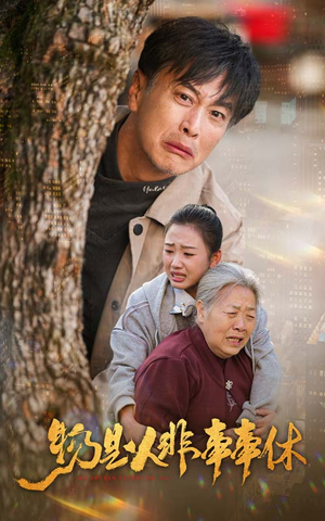 物是人非事事休（41集）精彩短剧又来了