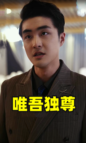 唯吾独尊（96集）新短剧推荐