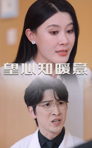 望心知暖意（31集）在线看