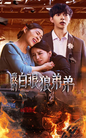 我的白眼狼弟弟(69集) 我的白眼狼弟弟(69集)抢先看热门短剧