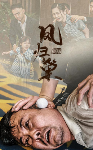 新版：凤归巢（68集）亿万短剧抢先看