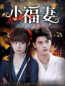 小福妻（62集）短剧太精彩