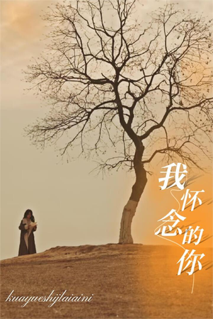 我怀念的你（38集）在线看免费版