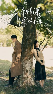 许你情深深似海（86集）大结局