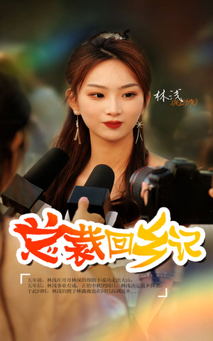 总裁回乡记（67集）在线看免费版