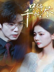 只待千帆尽(40集) 只待千帆尽(40集)解说