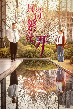 只待繁花开（35集）好看的短剧