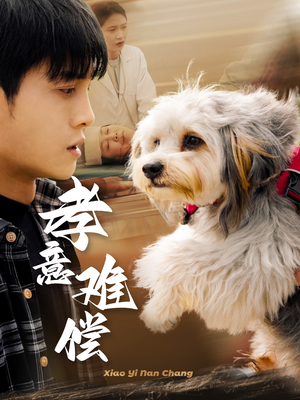 孝意难偿（32集）在线免费观影