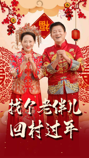 找个老伴儿回村过年（58集）高清画质免费看