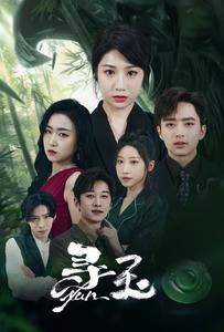 寻玉（77集）在线免费观影