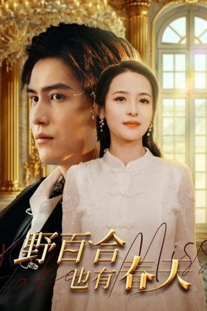 野百合也有春天（85集）看过的人都说好