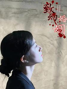 致幻婚姻（100集）1-102集