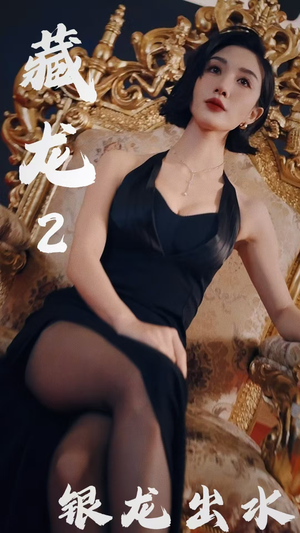 藏龙2银龙出水（35集）全网短剧抢先看