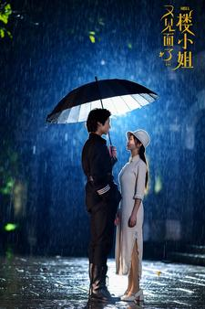 又见面了楼小姐（68集）爆火短剧追不停