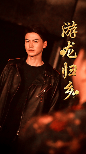 游龙归乡（60集）更新时间