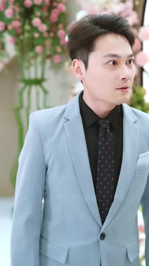 以雅以南（35集）80到100集