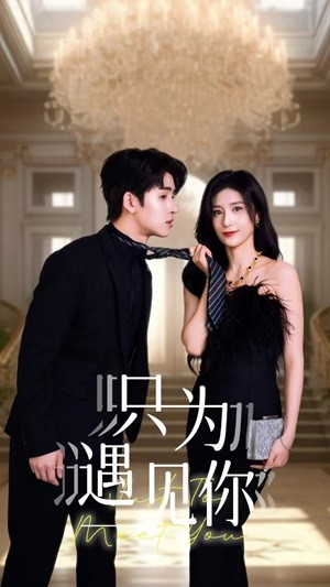 只为遇见你(88集) 只为遇见你(88集)小短剧抢先看