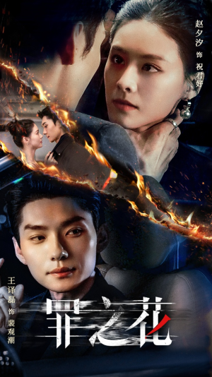 罪之花（56集）热门短剧来袭