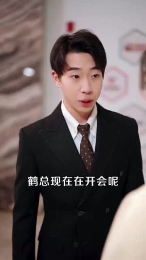 悄悄藏不住（100集）百度网盘在线看