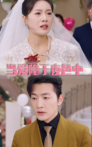 当爱隐于夜色中（37集）一口气追完全集