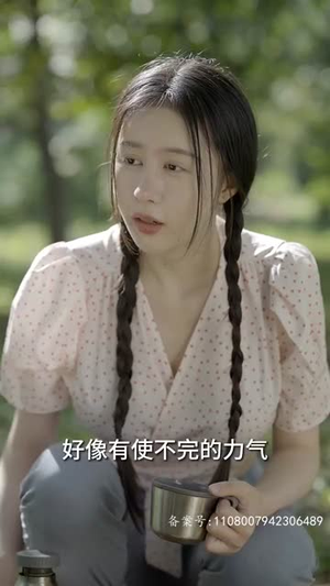 乡间幸福往事（80集）爆火短剧推荐