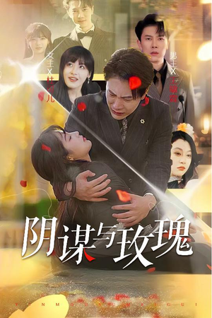 阴谋与玫瑰（31集）一口气看完全集