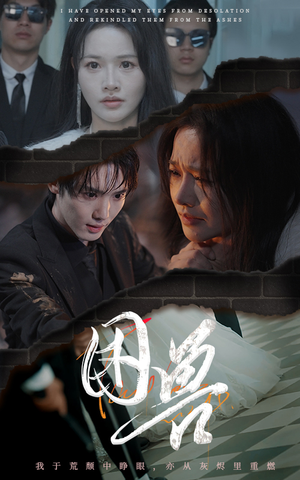 困兽（31集）短剧全集更精彩