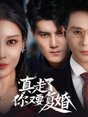 真走了你又要复婚（60集）免费看