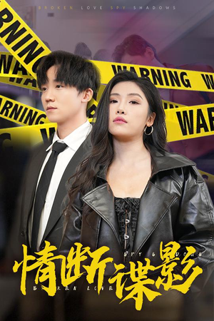 情断谍影（30集）一起看短剧