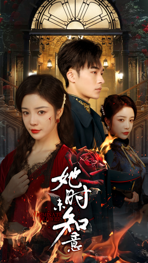 她时未知意（70集）爆款短剧抢先看