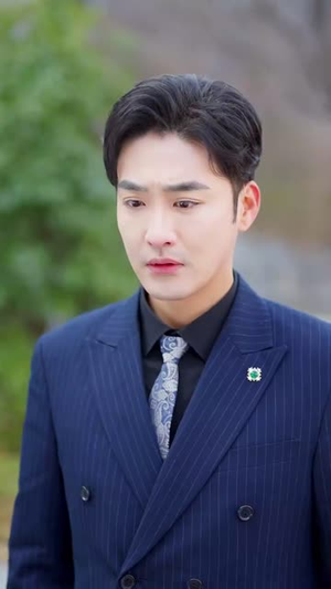 灿灿萱草花（70集） 精彩连连免费看