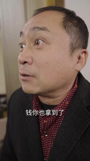 风雨晚来归（36集） 第一季