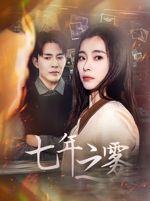七年之雾（30集） 全剧免费观看