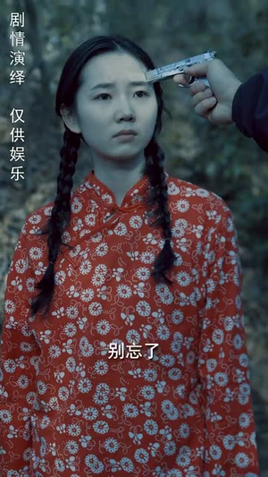 身份盲区（12集） 超好看古装短剧