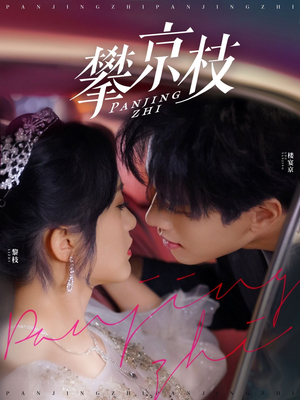 攀京枝（80集） 哪个短剧网能看