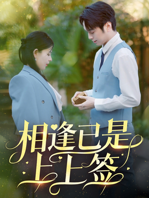 相逢已是上上签（30集） 在线看免费版