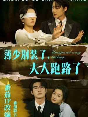 薄少别装了夫人跑路了（60集） 大结局