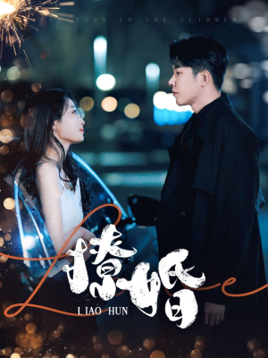 撩婚（90集） 全集都在这里了