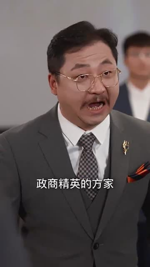 中年离婚后她名动商界（30集） 80到100集