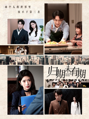 归期未有期（60集） 热门爆款短剧