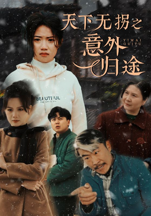 天下无拐之意外归途（61集） 精彩短剧随心推