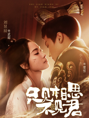 只见相思不见君（82集） 精彩短剧来袭