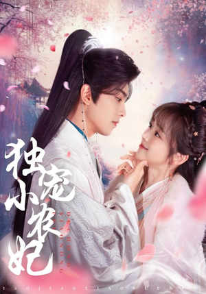 独宠小农妃（63集） 百万短剧抢先看