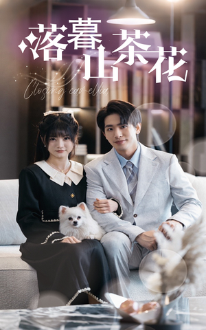 落幕山茶花（50集） 分享好看短剧