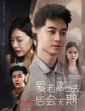 爱若离去,后会无期(70集) 爱若离去,后会无期(70集)好看吗