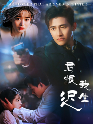 君恨我生迟（60集） 第一季