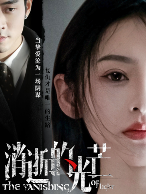 消逝的光芒（55集） 好看吗