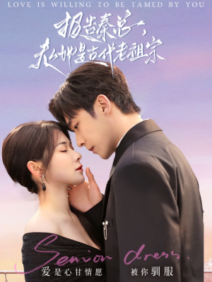 报告秦总，夫人她是古代老祖宗（65集） 一起追短剧