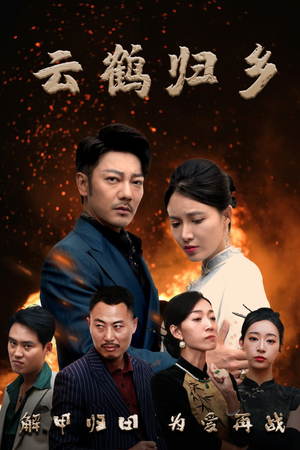 云鹤归乡（65集） 短剧后续更精彩